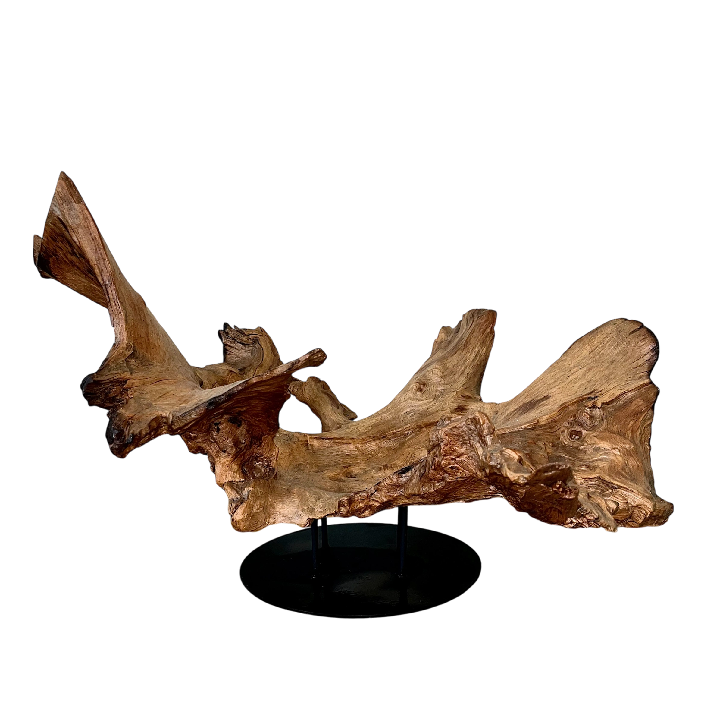 Natural Art Decoration